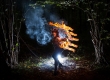 Krista Palm - "Feral Woman"